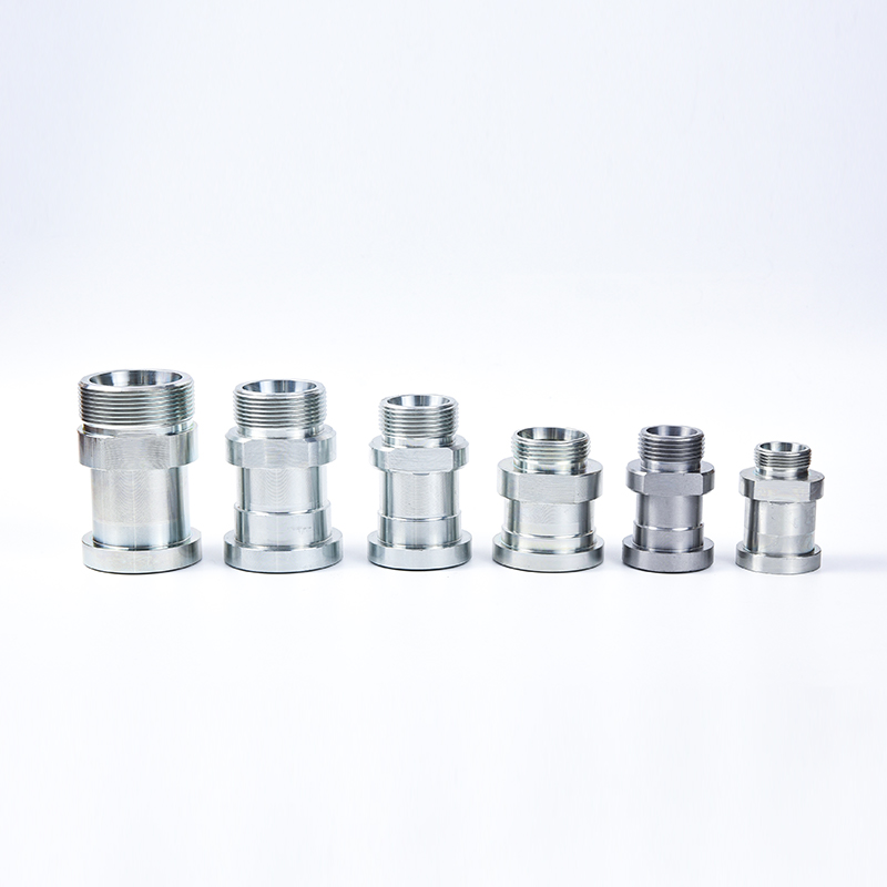 1DFS 1CFL GFS ISO6162 Flange fitting