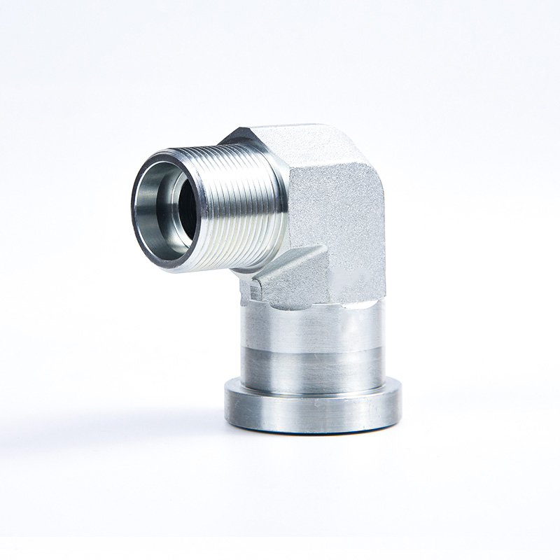 1DFS 1CFL GFS ISO6162 Flange fitting