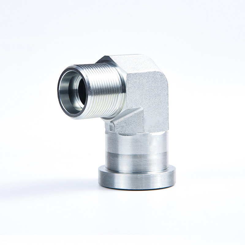 1DFS 1CFL GFS ISO6162 Flange fitting