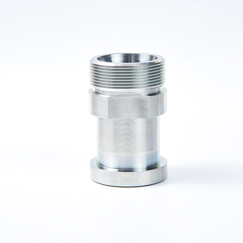 1DFS 1CFL GFS ISO6162 Flange fitting