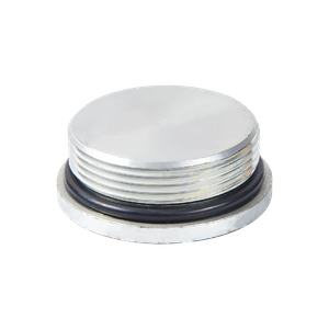 4ON SAE Socket head plug